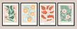 Vector illustration set of botanical printable posters. Art for postcards, wall art, banner, background.	