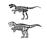 Fototapeta  - Velociraptor bones and skull. Velociraptor skeleton. Prehistoric animal silhouette. Paleontology and archeology. Prehistoric creature bones