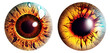 Close up of eye iris on isolated background, macro, generated AI