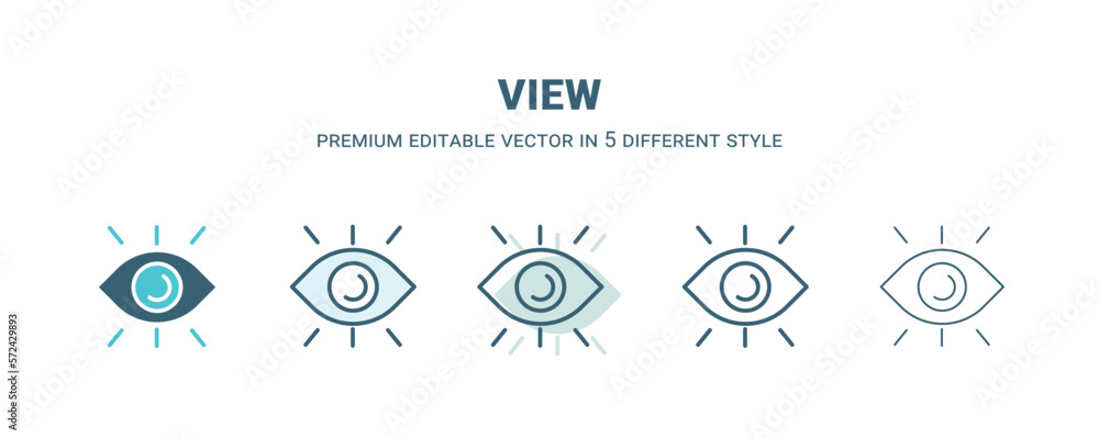 view icon in 5 different style. Outline, filled, two color, thin view ...
