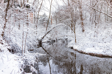 Wall Mural - Sugarland Run Stream Valley Trail with creek river water covered in frozen snow ice and reflection in Herndon, Northern Virginia Fairfax county landscape