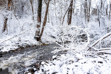 Wall Mural - Sugarland Run Stream Valley Trail with creek river water covered in frozen snow ice in Herndon, Northern Virginia Fairfax county fairy tale landscape