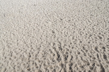 Wall Mural - Brown sand ground texture in high resolution.