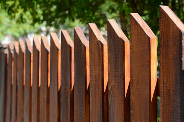 Sticker - Wooden fence on sunny day outdoors, closeup