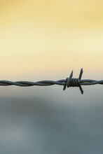 Frost On Farm Barbed Wire Fence Close Up With Copy Space