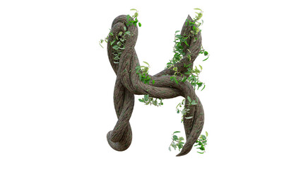 Wall Mural - Tree grow or vine in the shape of the English text. Letter font H. 3D Render.