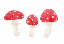 Beautiful Set With Watercolor Hand Drawn Fly Agaric Mushroom. Stock Illustration.