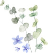 © babeer - watercolor leaf and flower. Botanical illustration minimal style.