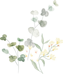 Wall Mural - watercolor leaf and flower. Botanical illustration minimal style.
