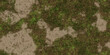 Cracked glade ground with moss seamless texture. Dry land with grass background. Ecology terrain backdrop. Summer desert with mossy cracks surface. Hot grunge weather climate pattern.