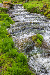 Canvas Print - Beautiful creek with flowing water