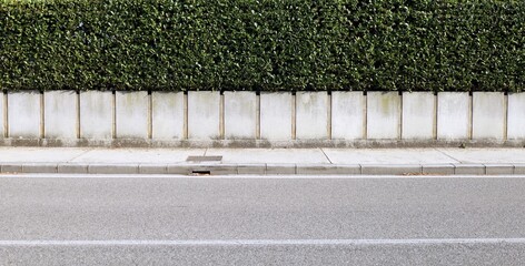 House fence consisting by a long concrete rectangle block wall and a hedge above. Cement sidewalk and asphalt street in front. Background for copy space