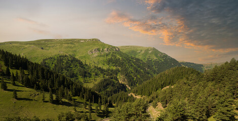 Wall Mural - Forests on high hills at sunset. Wooded areas of high plateaus. 