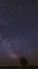 Wall Mural - vertical footage Milky Way Galaxy In Night Starry Sky Above Lonely Tree In Summer Meadow. Glowing Stars And Meteorite Trails Above Landscape. View From Europe.