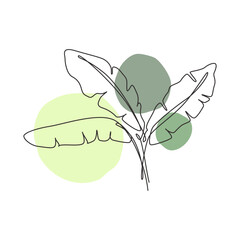 Wall Mural - one continuous line drawing tropical banana leaf. organic minimal natural eco concept spa salon. hom