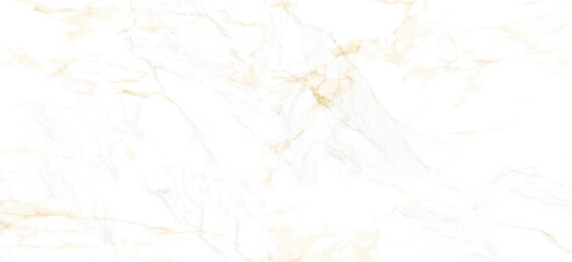 Vector gold marble realistic texture pattern background. Luxury white