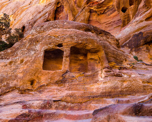 Petra tour