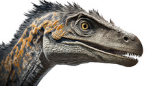 Velociraptor Dinosaur Isolated On White, Transparent, Generative Ai