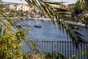 Canvas Print - Felucca Sailing on the Nile River in Aswan. Popular Tourist Sailboat in the Nile. Aswan, Egypt. Africa. 