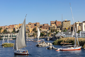 Canvas Print - Felucca Sailing on the Nile River in Aswan. Popular Tourist Sailboat in the Nile. Aswan, Egypt. Africa. 