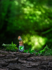 Butterfly, key and witch glass bottle with magic elixir in clover leaves, green natural background. shamrocks, symbol of St.Patrick's day holiday. Fairy tale, secret garden. secrecy, mystique concept