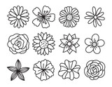 Fototapeta Dinusie - Single flower doodles drawing vector illustration. Spring flower outline set including a rose, sunflower daisy, hibiscus, peony, camellia, morning glory, etc.