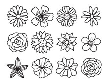 Single Flower Doodles Drawing Vector Illustration. Spring Flower Outline Set Including A Rose, Sunflower Daisy, Hibiscus, Peony, Camellia, Morning Glory, Etc.