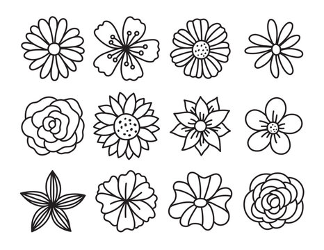 Fototapete - Single flower doodles drawing vector illustration. Spring flower outline set including a rose, sunflower daisy, hibiscus, peony, camellia, morning glory, etc.