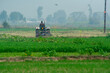 Tractor ploughing Field in Punjab, India
