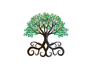 Wall Mural - Tree and roots vector, tree with round shape. mangrove tree with curly roots