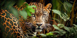 leopard in the jungle, concept Animals, Generative AI