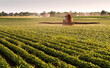 © Dusan Kostic - Tractor spraying soybean crops field