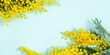 Flowers spring composition. Frame made of mimosa flowers on blue background. Easter, Women's day concept. banner