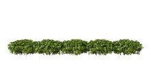 Green Shrubs Gardening Row Landscape Cutout 3d Rendering Png