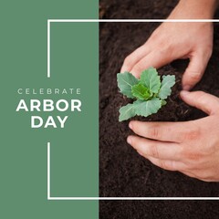 Sticker - Composition of celebrate arbor day text over hands holding plant