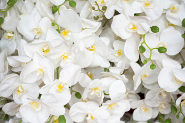 close up artificial white orchid flower in the market