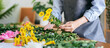 © Katcha - Female florist in apron selecting yellow chrysanthemum to creati
