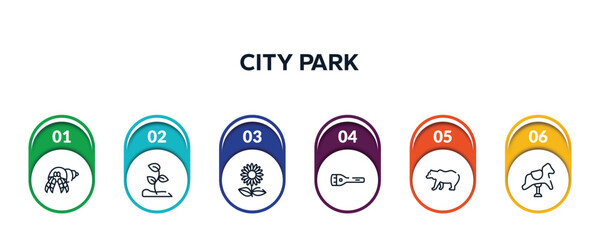 city park outline icons with infographic template. thin line icons such as hermit crab, sprout, sunflowers, flashlight, grizzly bear, rocking horse vector.