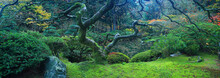 The Tranquil Japanese Garden Located In The West Hills Of The City Of Portland, Oregon.