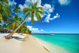 Fototapeta Dmuchawce - Tropical island beach shore with exotic palm trees, clear water of caribbean sea and white sand. Playa Bavaro, Saona, Punta Cana, Dominican Republic