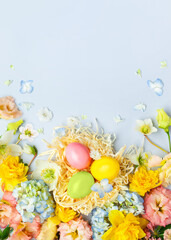 Wall Mural - Easter composition with Spring Flowers and Easter eggs in nest on pastel blue background.