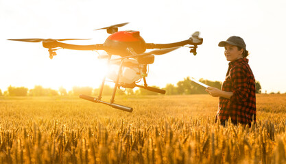 Wall Mural - Woman farmer controls drone sprayer with a tablet. Smart farming and precision agriculture	