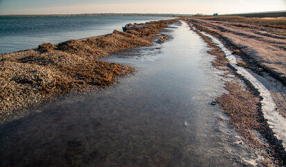 Storm emissions from algae and mollusk shells on the shore of the Tiligul Estuary, Ukraine