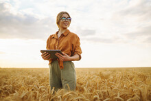 Young Female Farmer With Tablet In The Field. Agriculture, Gardening, Business Or Ecology Concept. Growth Dynamics.