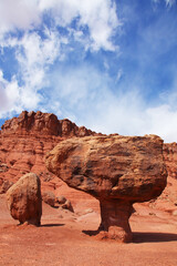 Canvas Print - The weathering in the red desert