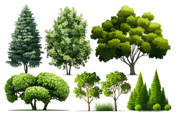 Wall Mural - Set of detailed realistic forest and garden trees on isolated white background.