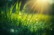 green grass, dew, generative AI, green grass, lawn, meadow, turf, verdure
