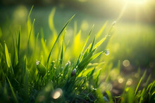 Green Grass, Dew, Generative AI, Green Grass, Lawn, Meadow, Turf, Verdure