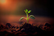 Young sprouts, seedlings growing. New life concept. Green plant growing in good soil. Banner with copy space. Agriculture, organic gardening, planting or ecology concept.