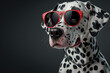 a dalmatian dog wearing sunglasses and look somewhere , ai generated